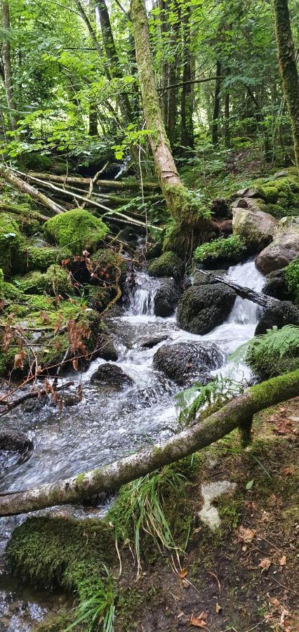 Black Forest Kuckucksnest Schönwalde Exterior foto