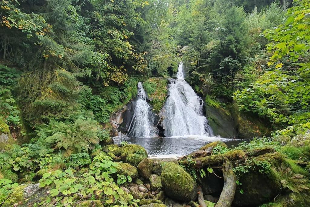 Black Forest Kuckucksnest Schönwalde Exterior foto