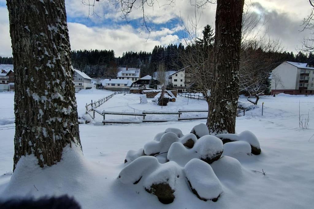 Black Forest Kuckucksnest Schönwalde Exterior foto